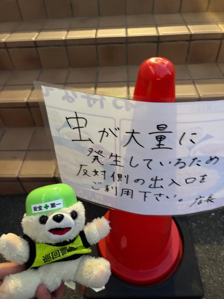 リャンガーコーテルの花言葉…それは「大量の虫」…ヨシ❗️
(ヨシではない)