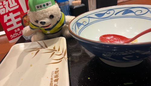 もちろんお盆にこぼれたねぎは残さず拾って完食❗️ヨシ❗️