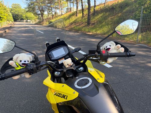 みなさんはじめまして、ぼくファーファβ、γ、δだよー❗️
今日早速バイクに乗る練習をしてたんだけど、運転をしてたら突如大量のサルに囲まれたんだー❗️
本当はこの画像の何倍もサルがいたんだけど…
でも地上最強のシロクマのぼくたちを見て、おそれをなして逃げていったんだ〜♪🐵💥🤛🐻‍❄️
