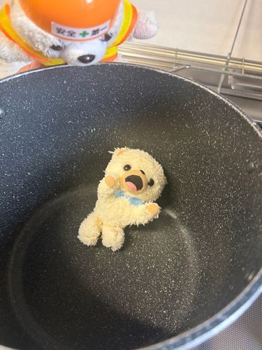 鍋の中、異常ナシ❗️ヨシ❗️
(いやいやファーファおるやろ)