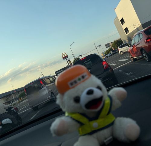 赤信号は無視すれば目的地に早く着いてヨシ❗️
(Notヨシ❗️)