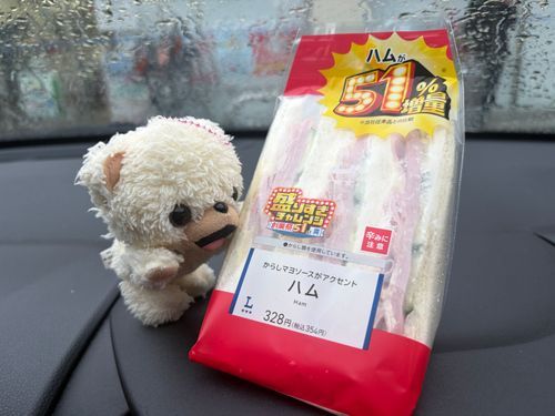 朝からローソンの増量ハムサンドだ〜🥪
前回まではハムたくさん、からしマヨソースでしょっぱかったけど食べやすくなってるかも…❓