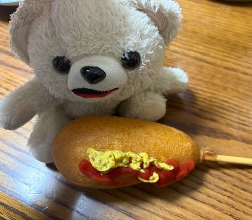 うちの二足歩行から、アメリカンドッグもらったんだ〜…