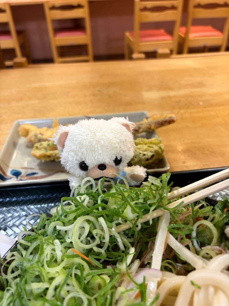 うどん屋さんと見せかけて、サラダを食べたよ❗️