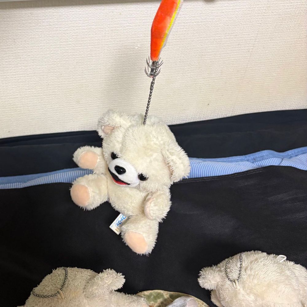 【本質追求】寿司に気を取られている間に、たまたま隣にいた釣り人にエギで釣りあげられる❗️❗️❗️【これが危険のポイントだ】