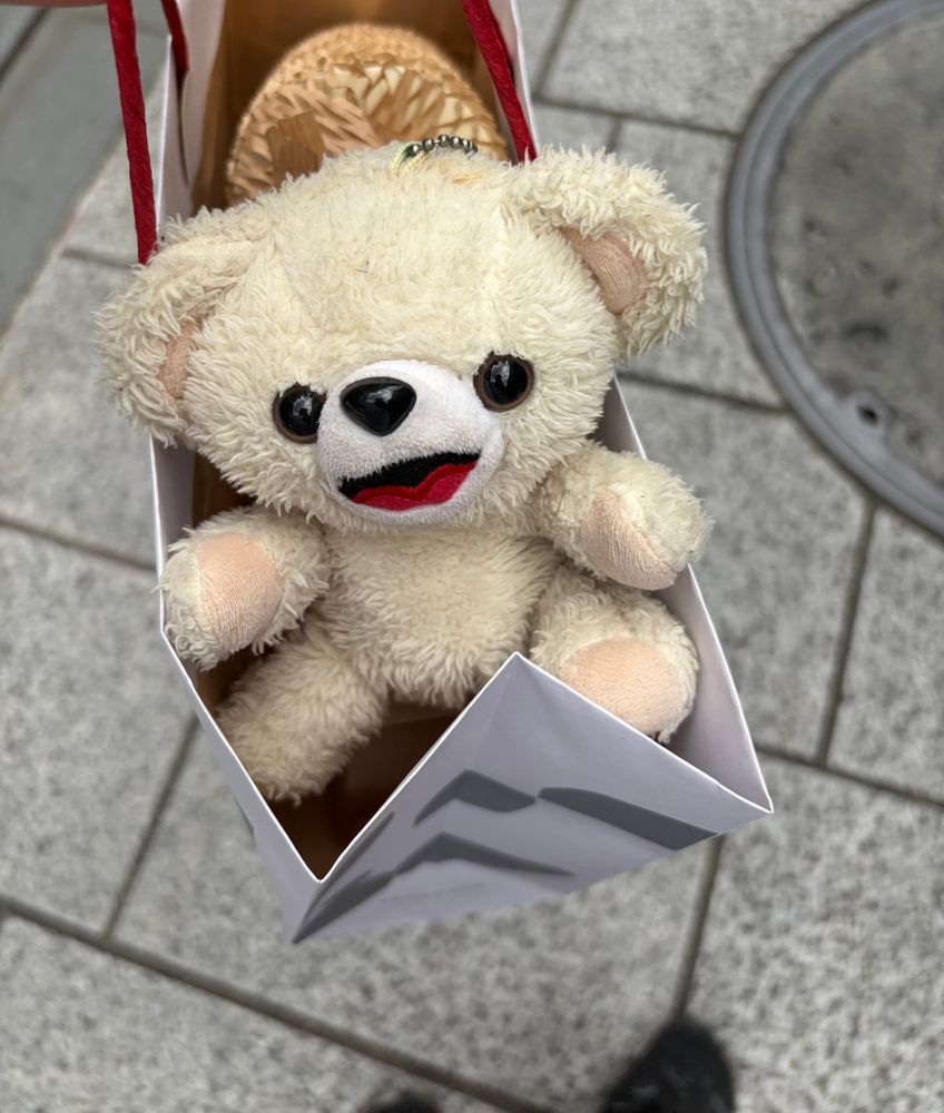 お茶がめっちゃ高級だったんだ〜❗️❗️
(ファーファのお小遣い5年分くらい)