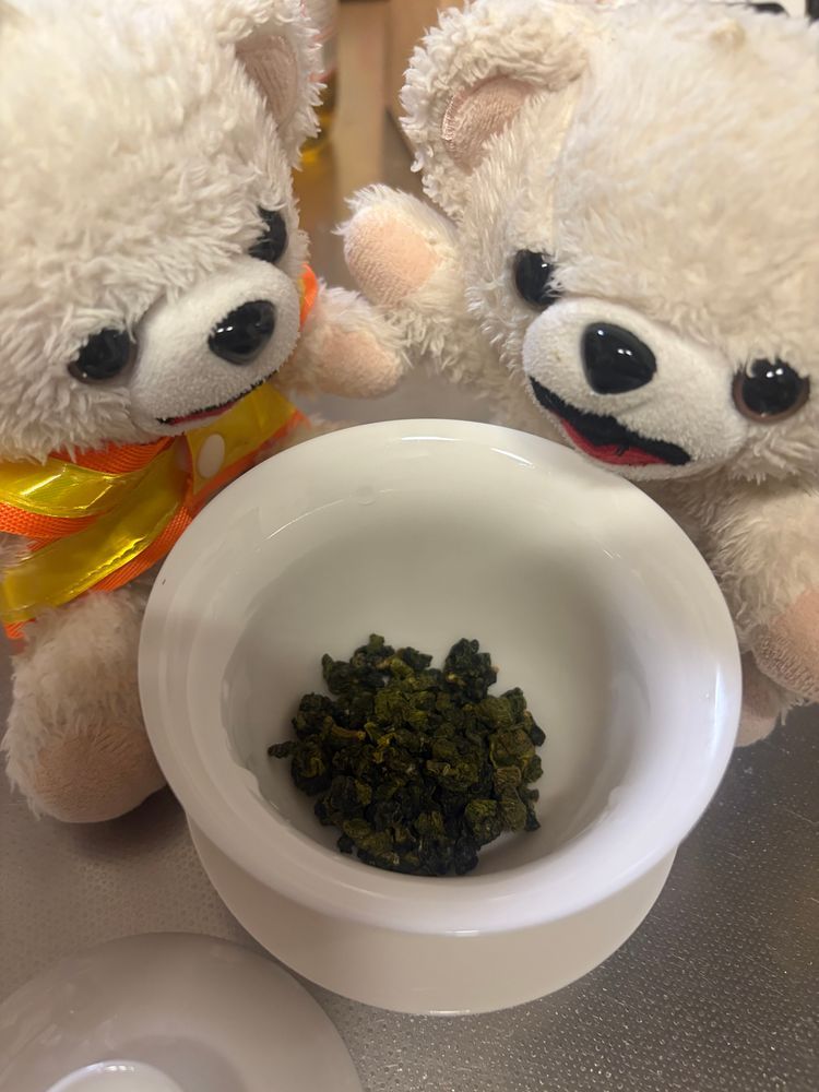 昨日買ってきた台湾茶飲むよ❗️
これは高い山で採れたというお茶で、なかなか高かったんだ〜🍵
実はさらに高いお茶も買ってきたんだけど…またいつか紹介するよ❗️
うん、いい香り…