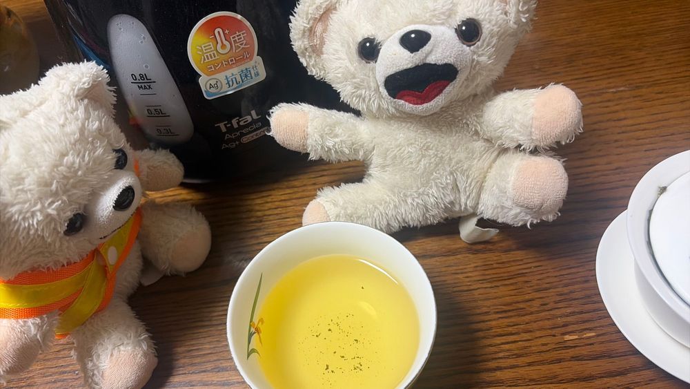 これで…いいのかなー❓
いい香りのするお茶だよー❗️🍵
(結構こぼした)