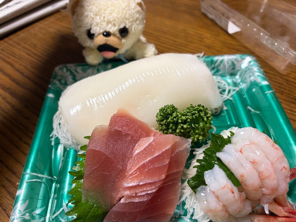 スーパーに行ったら、創業360周年記念のセールをやってたよ❗️
お刺身を買ってきたんだ〜❗️
360周年ってなかなかなんだ〜❗️
ちなみにファーファは40周年なんだよ〜❗️