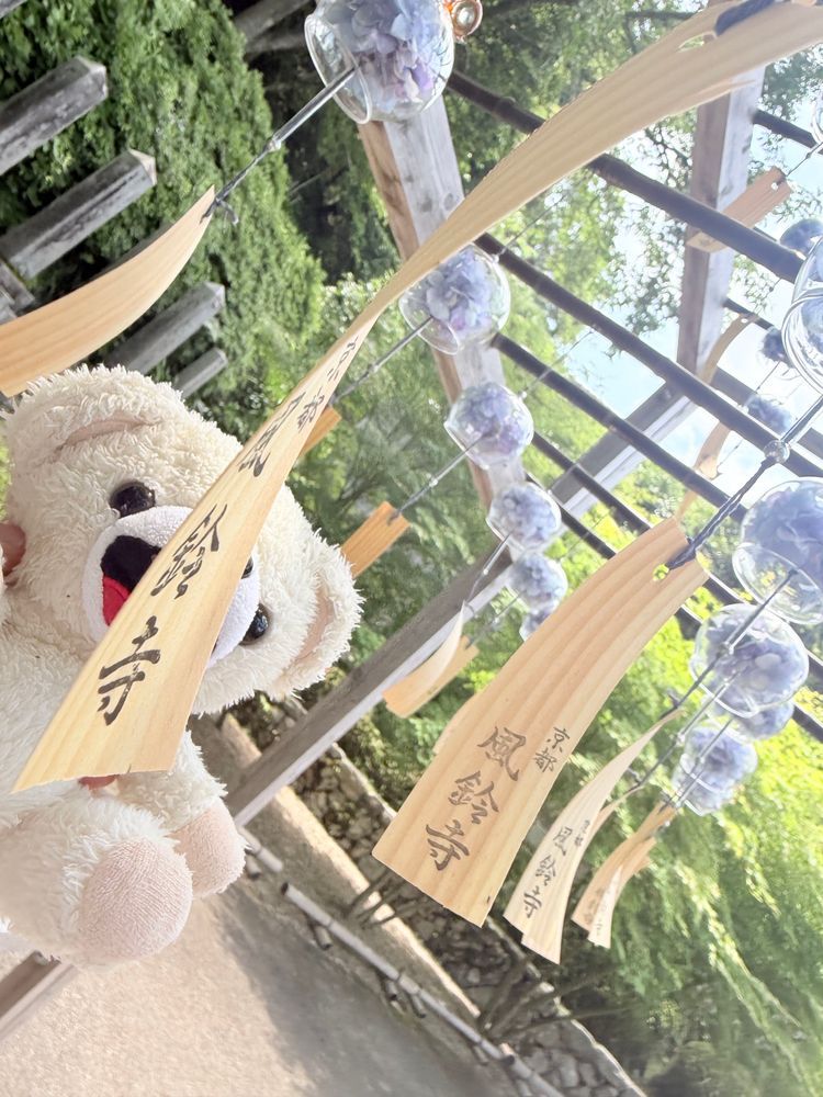 ぼく、この前カワミちゃんが行ったお寺に行ってきたよ❗️
風鈴祭りをやってたんだ〜♪
ハートの窓からは、アジサイが見えるんだ〜❗️