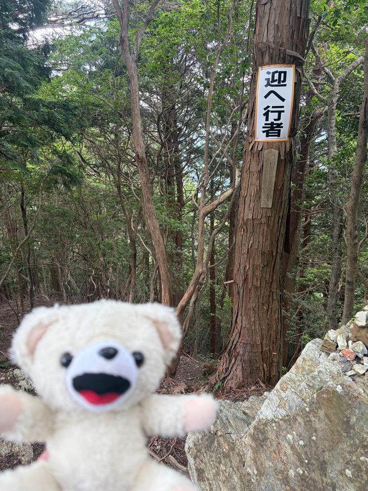 その後、めちゃくちゃ山奥の修行コースがあるお寺に行ってきたよ❗️
超急勾配の鎖場で、足場もルートもよくわからなくて落ちたら死亡確定なところだったよ〜💦
しかも途中でルートがわからなくなって、落ちたら危ない道を死にそうになりながら引き返してきたんだ〜💦
もう二度といかないんだ〜❗️