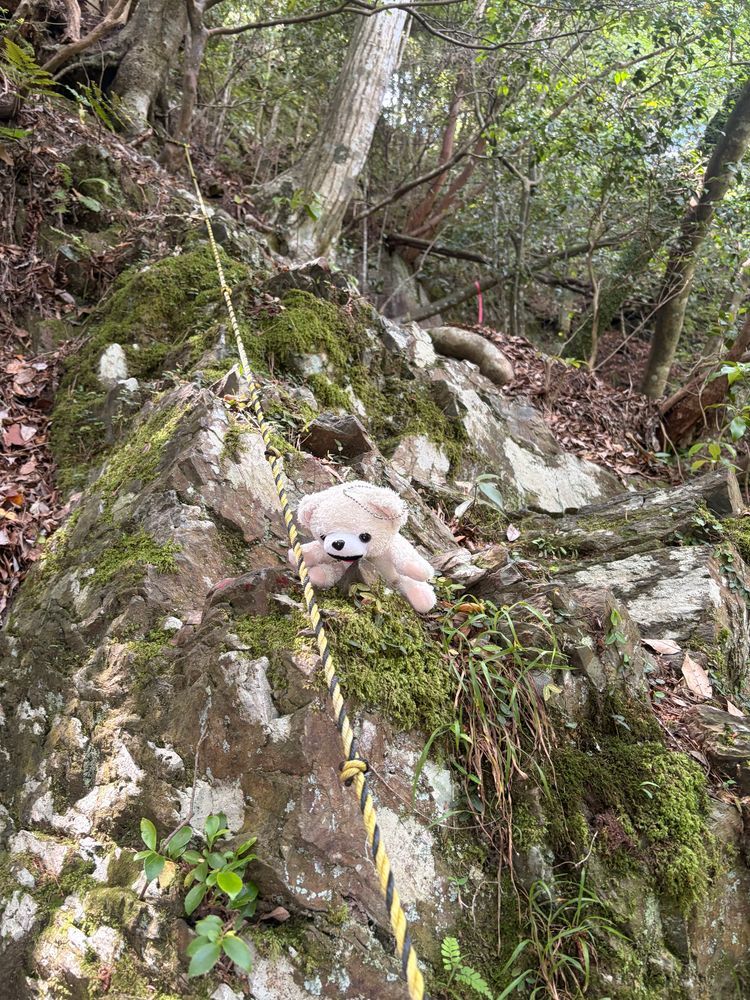 その後、めちゃくちゃ山奥の修行コースがあるお寺に行ってきたよ❗️
超急勾配の鎖場で、足場もルートもよくわからなくて落ちたら死亡確定なところだったよ〜💦
しかも途中でルートがわからなくなって、落ちたら危ない道を死にそうになりながら引き返してきたんだ〜💦
もう二度といかないんだ〜❗️