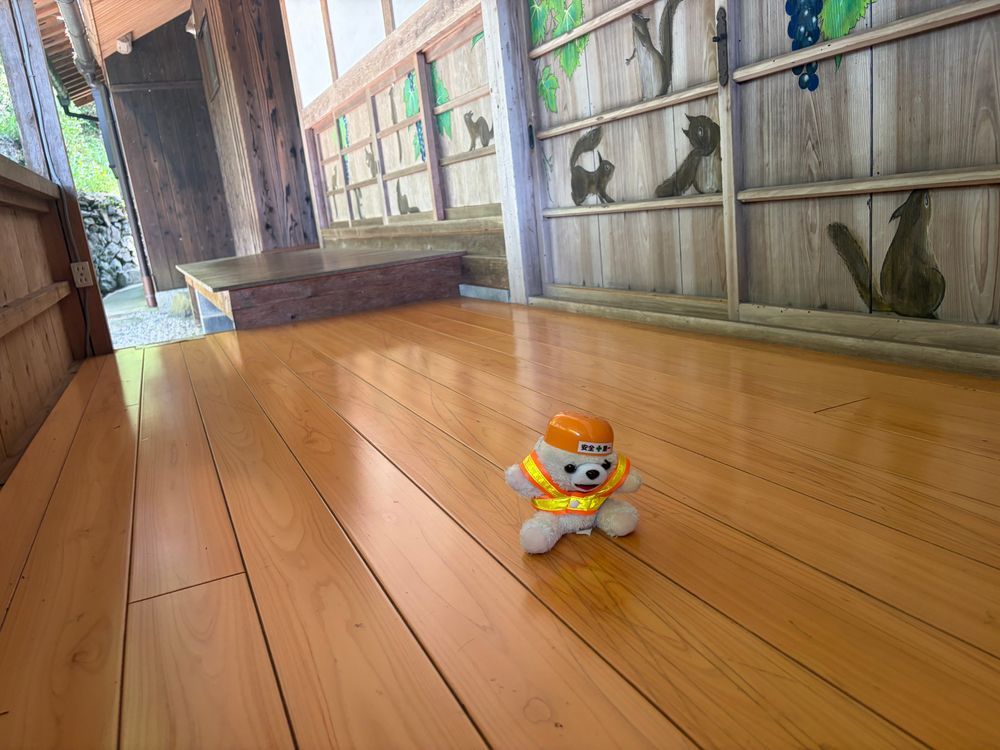 今日は風鈴をいっぱい飾っているお寺に行ってきたよ❗️
それにハート型の窓とか、天井画とか綺麗だったんだ〜❗️
風鈴が頭に落ちてくるかもしれないから、ヘルメット着用ヨシ❗️