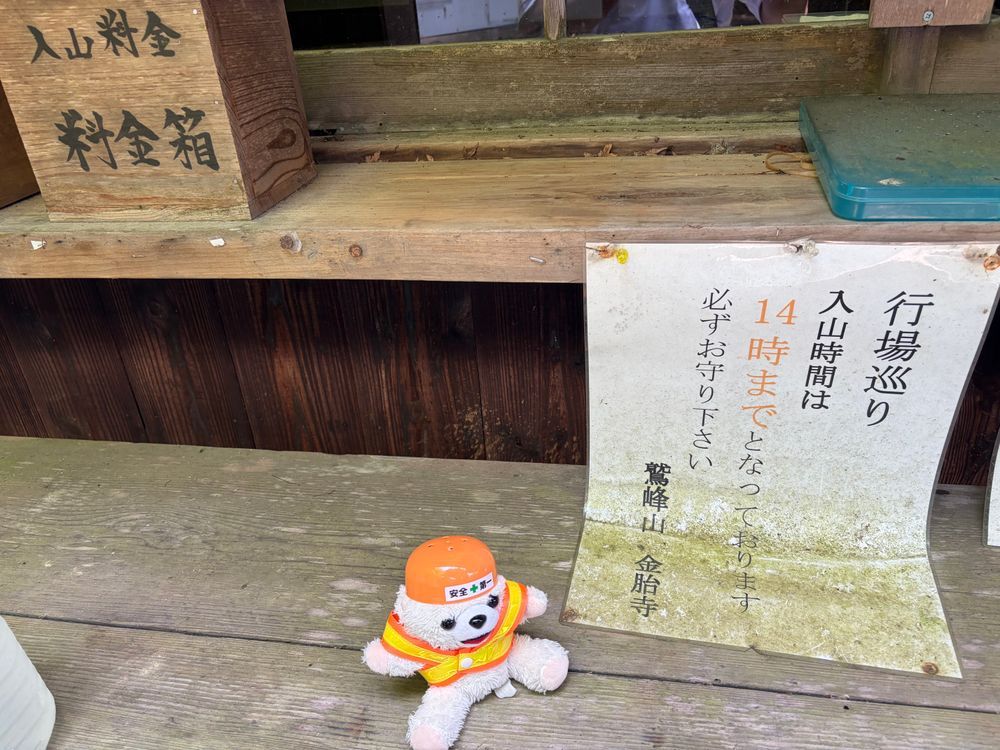 ええと…滑落による死亡事故…途中で引き返すことは危険…
とりあえず滑落してもヘルメット着用でヨシ❗️
(超危険なので、絶対にヨシではない)