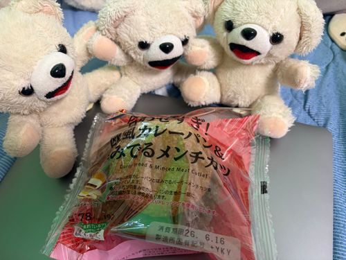 ダイエット中なのに、ローソンのメンチカツをカレーパンで挟んだイカれたやつを買っちゃった…
これはイカれた味だ…