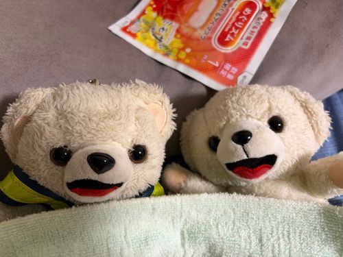 やっと1週間が終わったよ❗️
ヘトヘトだから、月曜の朝まで眠るんだ〜💤