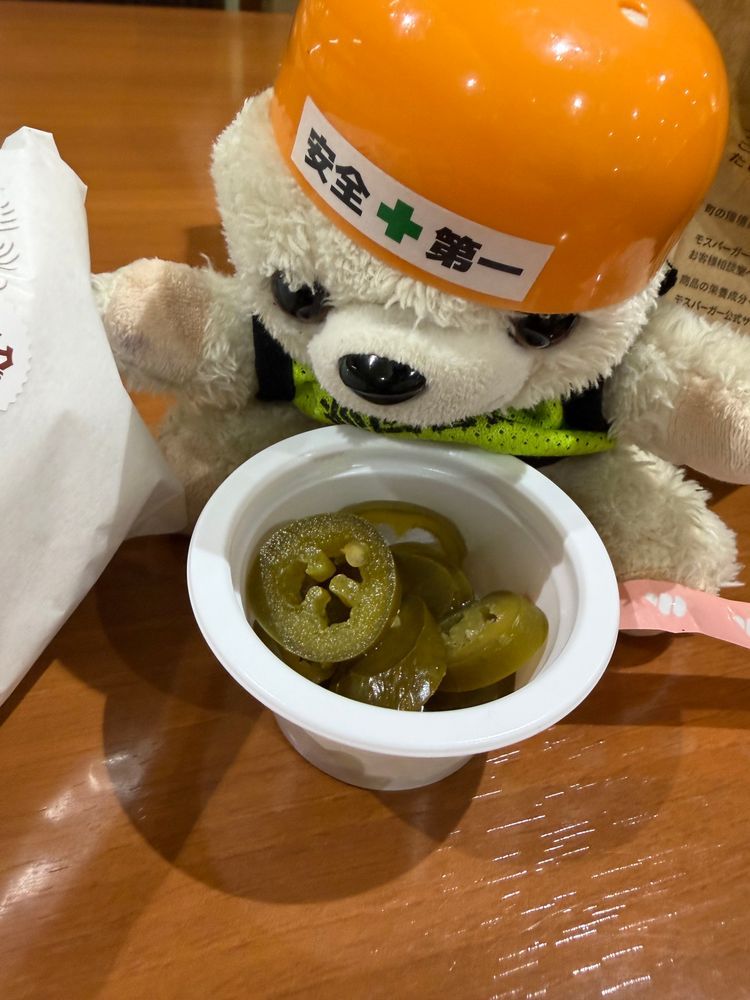 【現状把握】
ファーファがモスバーガーのトリプルモスチーズバーガーとサイドメニューのハラペーニョを食べようとしています。どんな危険があるでしょうか⚠️
【危険予知】