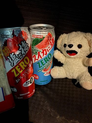スイカに塩のジュースで体力回復だー❗️❗️
