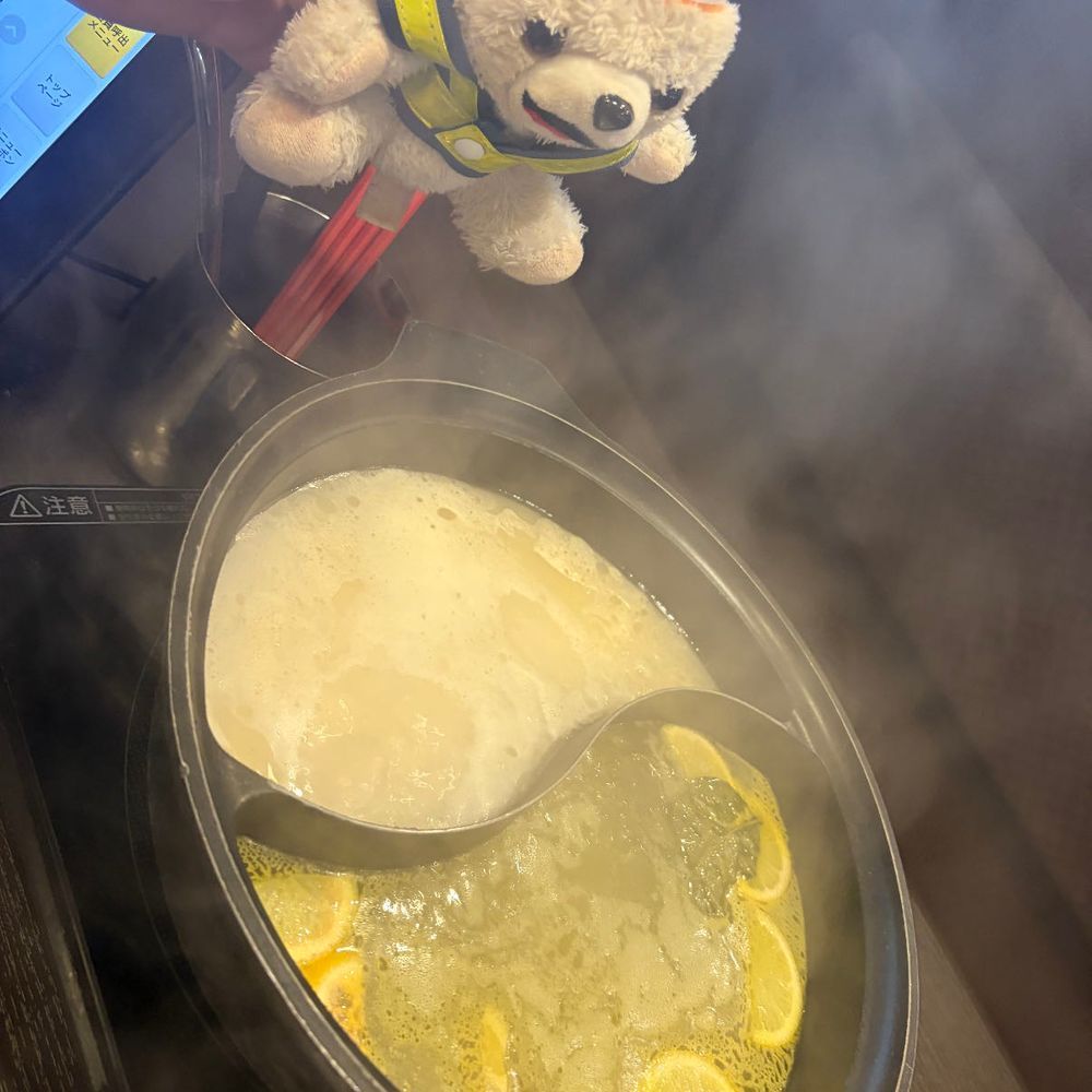 しゃぶしゃぶを食べる時は、自分がしゃぶしゃぶされないように注意ヨシ❗️