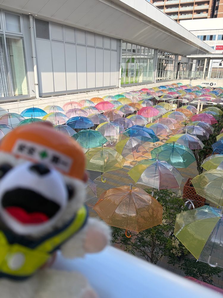 傘がいっぱいあってヨシ❗️
雨が降っても安心だヨシ❗️