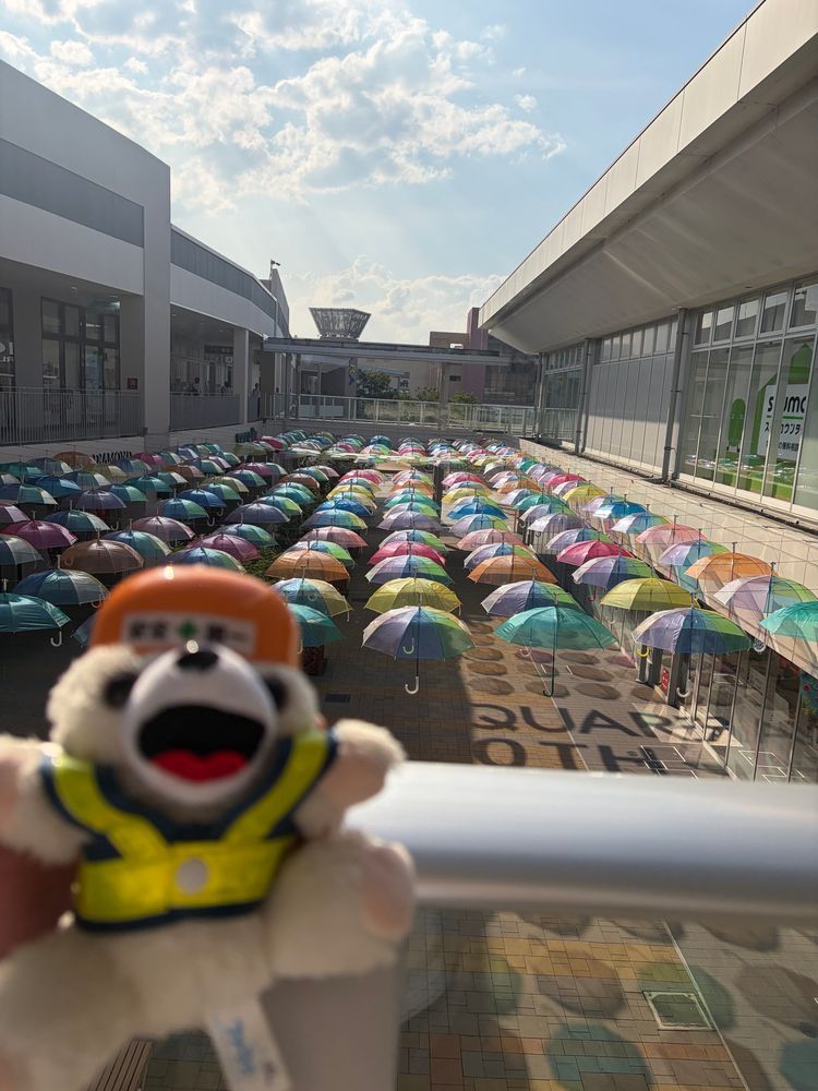 傘がいっぱいあってヨシ❗️
雨が降っても安心だヨシ❗️