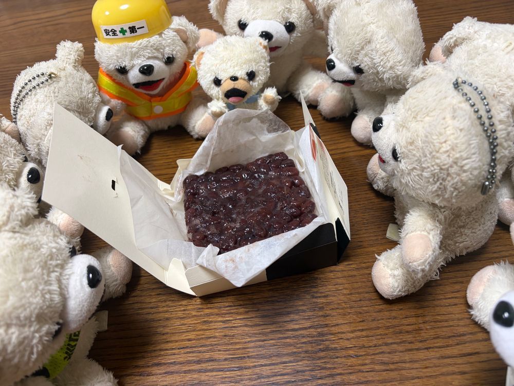 これは…❗️❗️
た、たねやの水無月だーーーー❗️❗️❗️