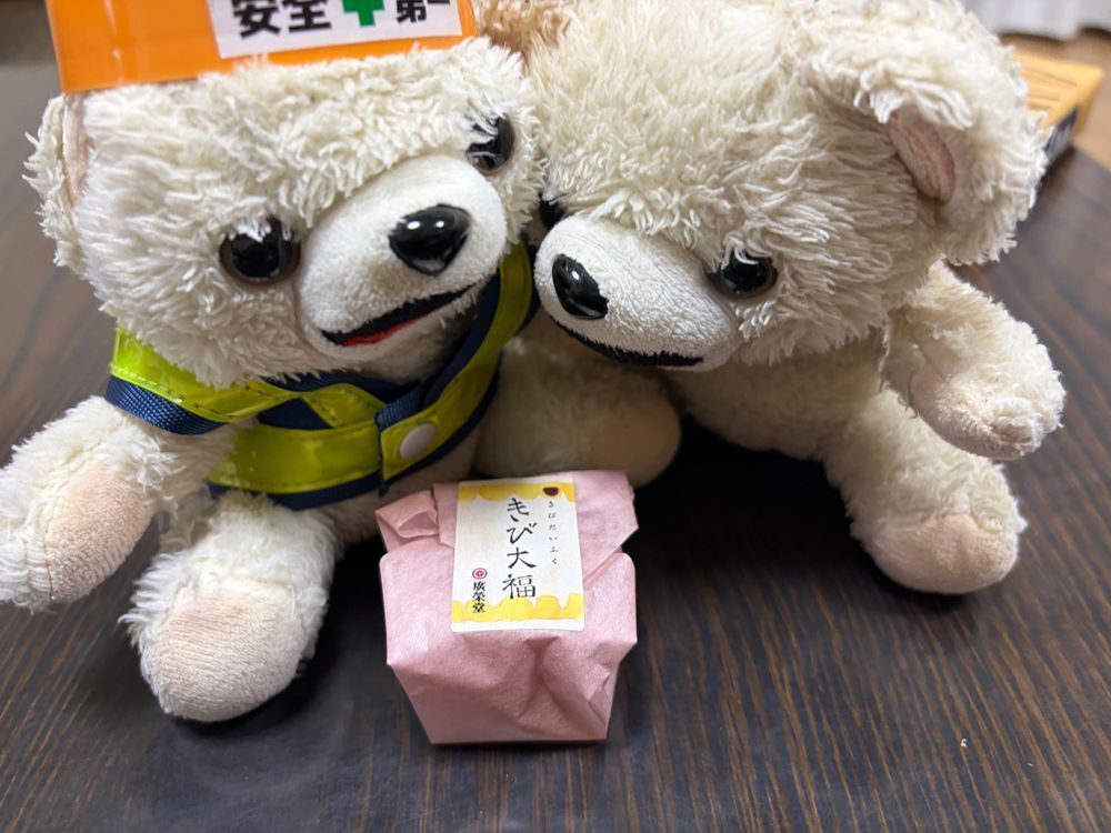 岡山土産がどれもあんこたっぷりで甘すぎる、ヨシ❗️
二足歩行に見つからないようにして、甘いもの爆食いする、ヨシ❗️❗️