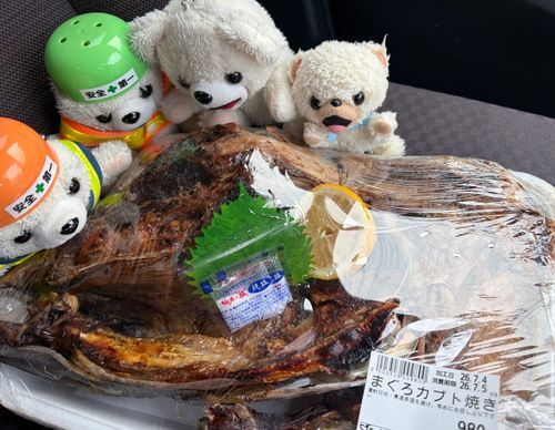 わ〜❗️今日はうちの二足歩行からさらにマグロのカブト焼きももらったんだ〜❗️
ボーナスが支給されて気前がいいんだ〜❗️❗️🐟🔥
さすがマグロ…頭もでっかいんだー❗️