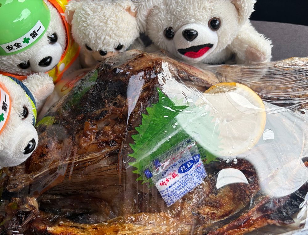 わ〜❗️今日はうちの二足歩行からさらにマグロのカブト焼きももらったんだ〜❗️
ボーナスが支給されて気前がいいんだ〜❗️❗️🐟🔥
さすがマグロ…頭もでっかいんだー❗️