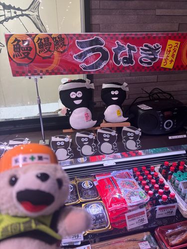 近所のスーパーのうなぎのぬいぐるみ…かわいすぎるヨシ‼️