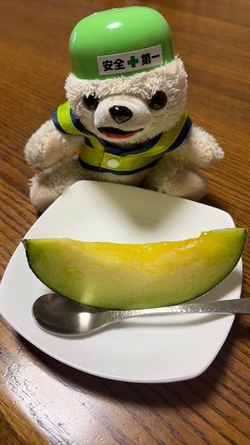 食後はメロンだヨシ❗️❗️
(ファーファRは最近大活躍をしたので、メロンを食べることが許可されました)