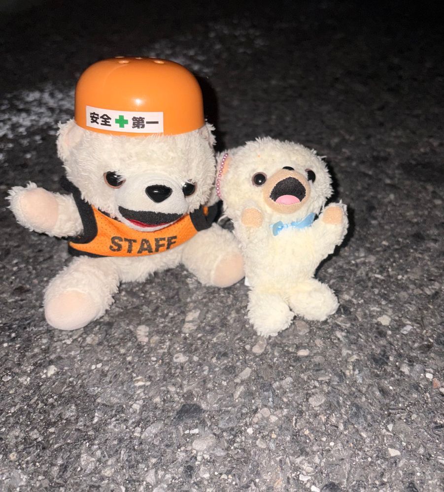 今日はファーファδと夜道を歩いてるよ❗️
小さいファーファと道路を歩く時は、ぼく車道側を歩くんだ〜❗️