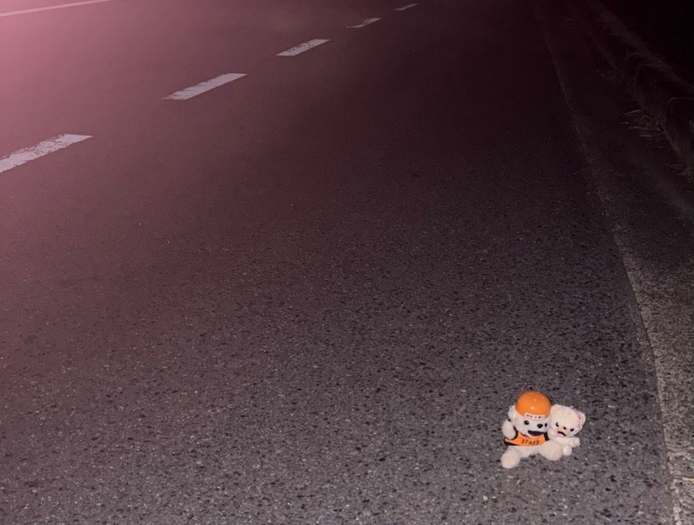 今日はファーファδと夜道を歩いてるよ❗️
小さいファーファと道路を歩く時は、ぼく車道側を歩くんだ〜❗️