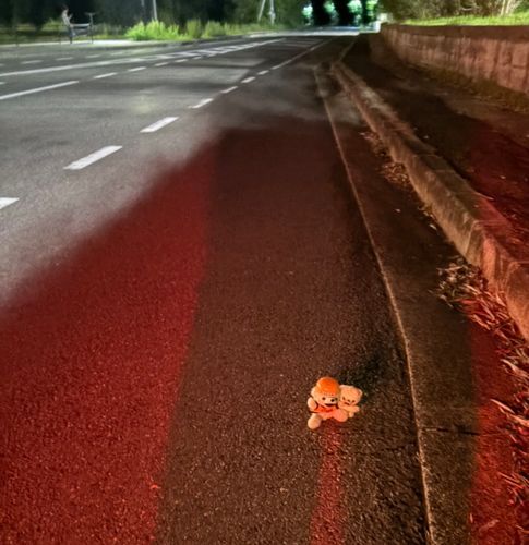 今日はファーファδと夜道を歩いてるよ❗️
小さいファーファと道路を歩く時は、ぼく車道側を歩くんだ〜❗️