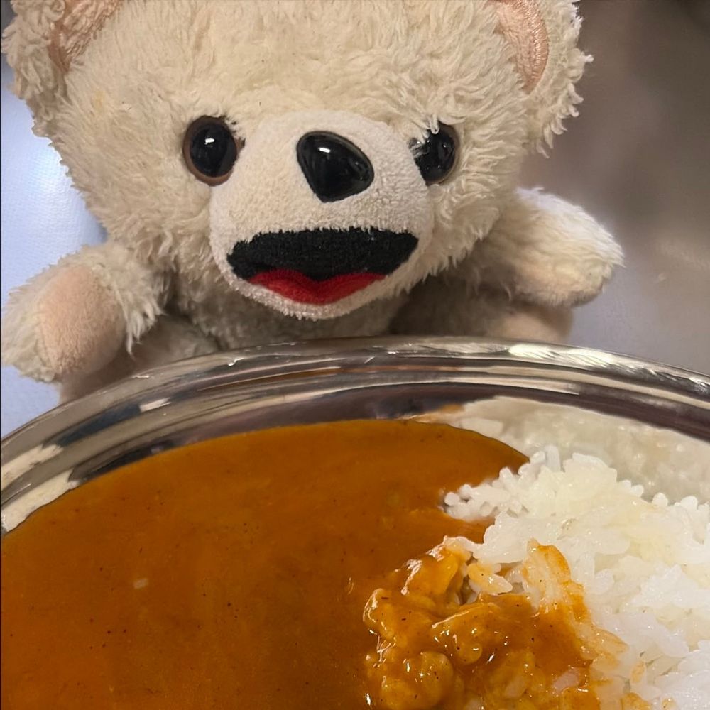 今日はモモ様が食べてたドンキの超激辛カレーをゲットしたよ❗️
キャロライナリーパーも入っててこれは期待ができるんだ〜❗️❗️🍛