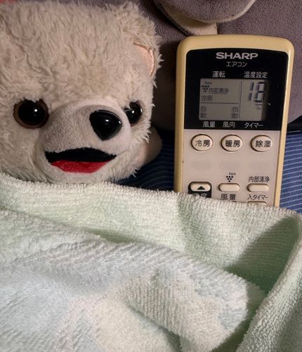 暑いから冷房18℃設定にしてぼくはもう寝るよ❗️
みんなも暑さ対策しっかり…ヨシ❗️
ぼくんちの…エアコンは…シャープだからイオンを出せるボタンがあるんだ…❗️
…ナイショだよ…❗️❗️