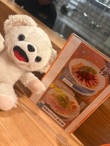 これはどこにでもある何の変哲もないベリーソースの高級鴨ラーメン