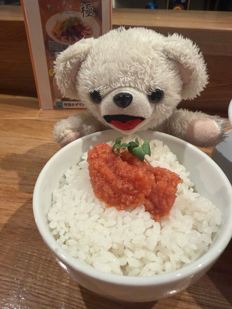 これはどこにでもある何の変哲もないベリーソースの高級鴨ラーメン