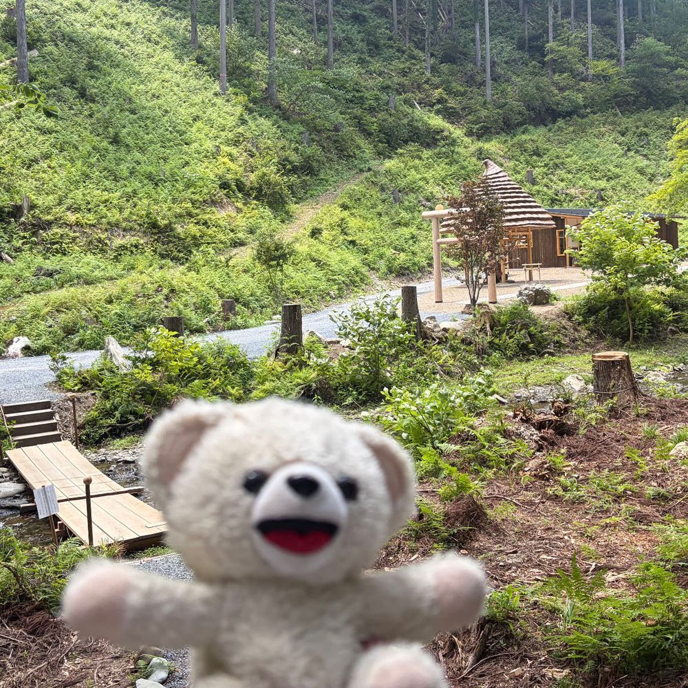 ぬいぐるみ神社に上陸したんだ〜♪