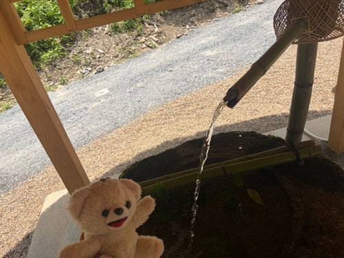 今日行ってきたぬいぐるみ神社だよ❗️
暑いけど川のせせらぎ…いい感じのところだったよ❗️
みんなの安全と健康をお祈りしたよ✨
