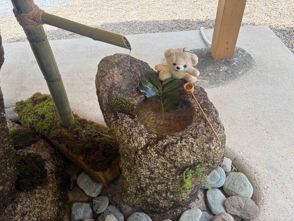今日行ってきたぬいぐるみ神社だよ❗️
暑いけど川のせせらぎ…いい感じのところだったよ❗️
みんなの安全と健康をお祈りしたよ✨