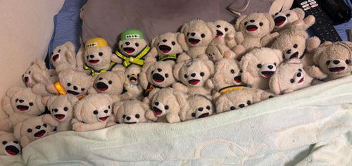 今日は全ファでお出かけして疲れたよ❗️
冷房の効いたお部屋でゆっくり眠るんだ…