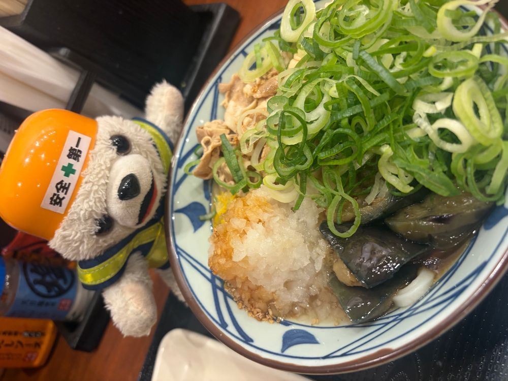 冷たいうどんを食べる時は、冷たすぎて凍死に注意ヨシ❗️
(実際はぬるかった)