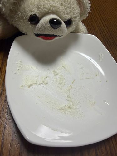 ファーファには、ロールケーキを食べたあとお皿に付着した生クリームを舐める習性があります