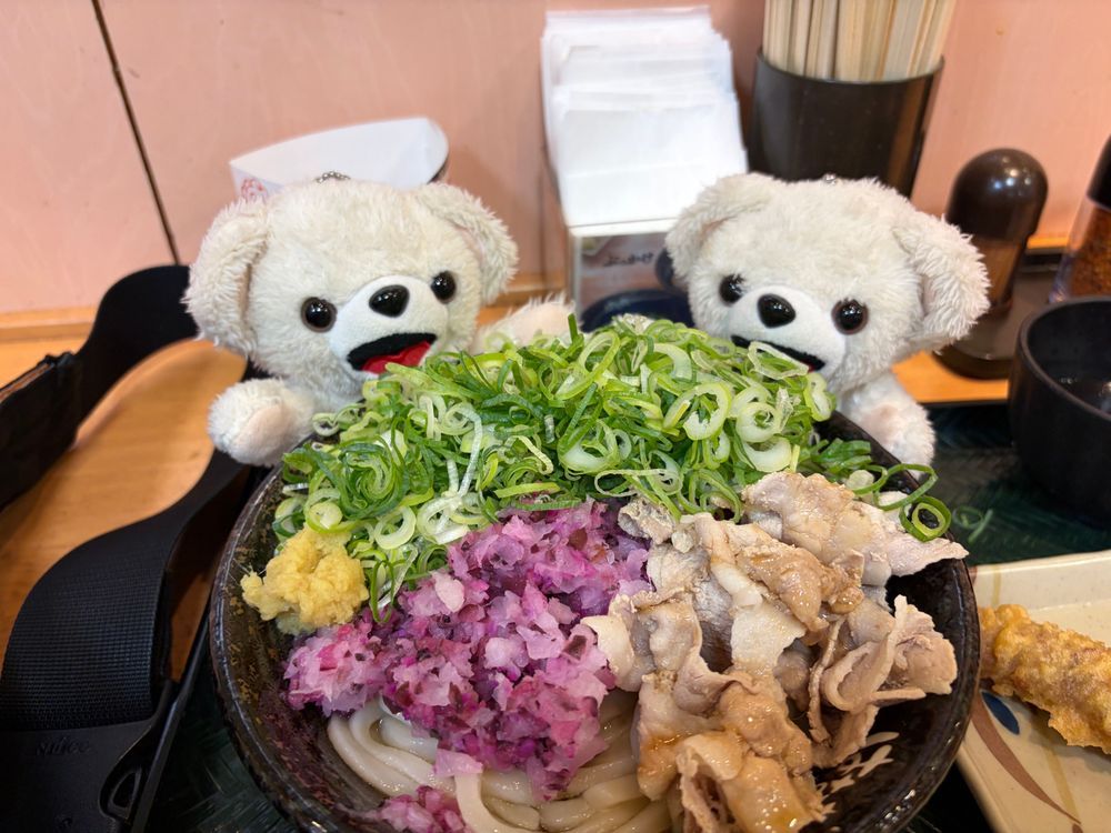 柴漬け豚鬼おろし、めっちゃ美味しくてヨシ❗️