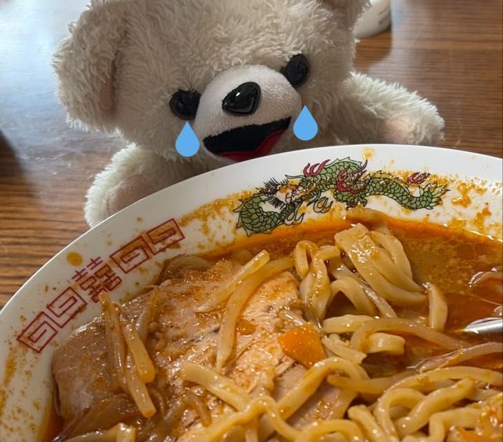 ラーメンできたけど、見てるだけでも目が痛いんだ〜❗️
そして味は…❗️❗️
辛すぎて…こんなの食べられないんだ〜〜〜❗❗️❗️😢

辛味と苦味しか感じない…❗️