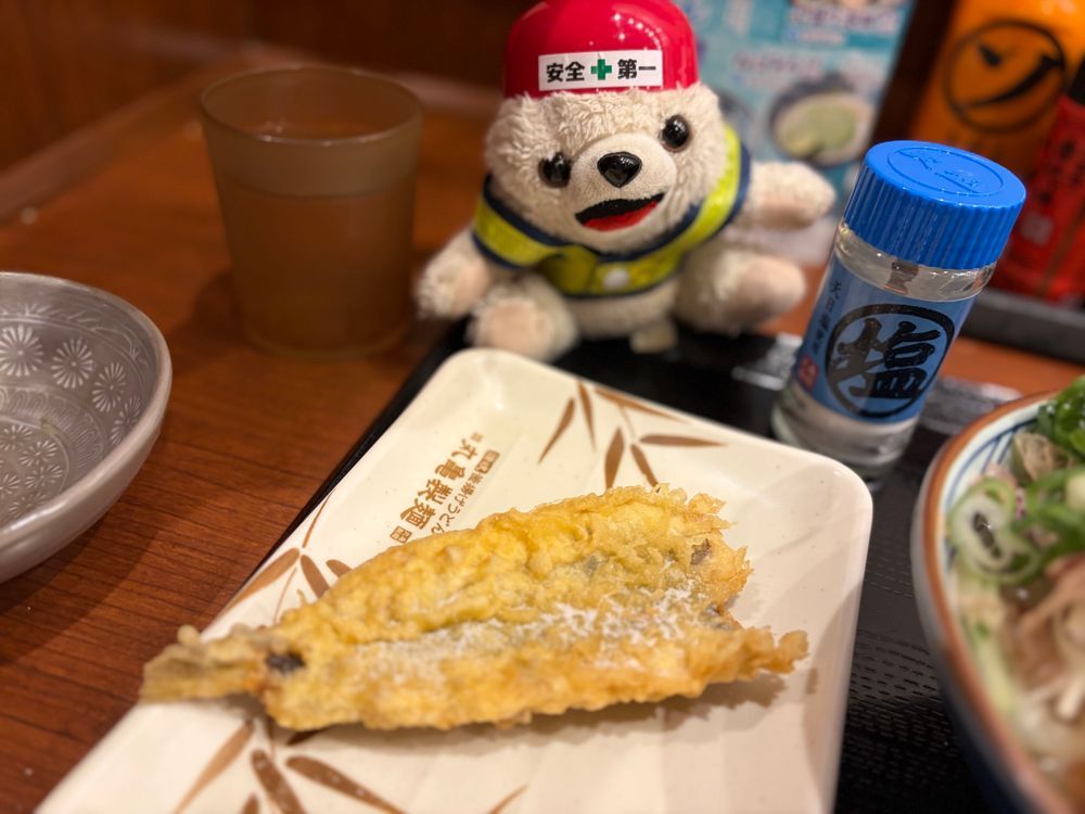 暑い季節は冷たいうどんが熱中症対策にヨシ❗️
イワシの天ぷらは塩で食べるのが真の食通だヨシ❗️