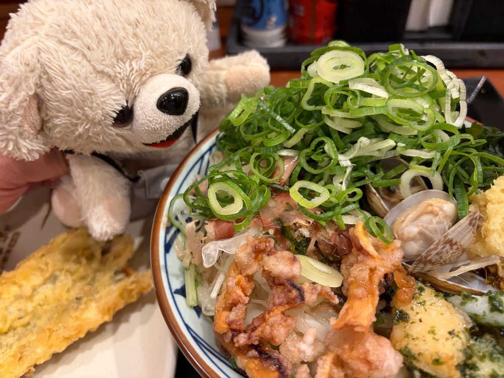 ひさびさに桑田のお店でうどん食べたよ❗️
冷たくてさっぱりしたうどん…夏にはちょうどいいんだ〜❗️
イカとアサリがたくさん入ってたよ〜❗️