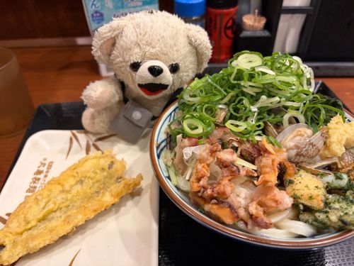 ひさびさに桑田のお店でうどん食べたよ❗️
冷たくてさっぱりしたうどん…夏にはちょうどいいんだ〜❗️
イカとアサリがたくさん入ってたよ〜❗️
