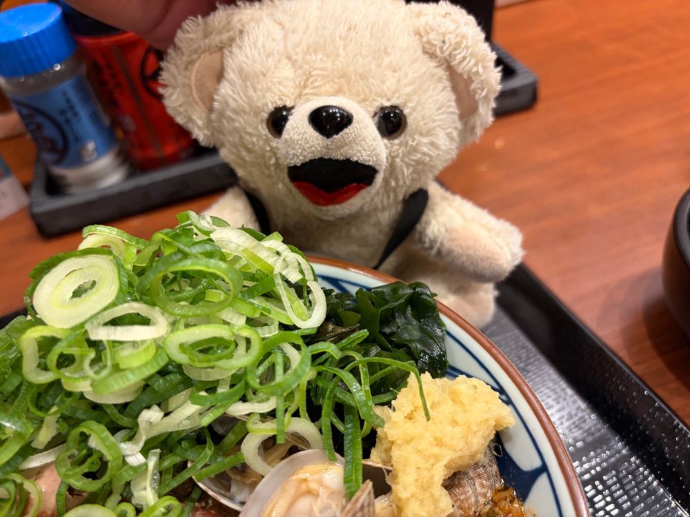 ひさびさに桑田のお店でうどん食べたよ❗️
冷たくてさっぱりしたうどん…夏にはちょうどいいんだ〜❗️
イカとアサリがたくさん入ってたよ〜❗️